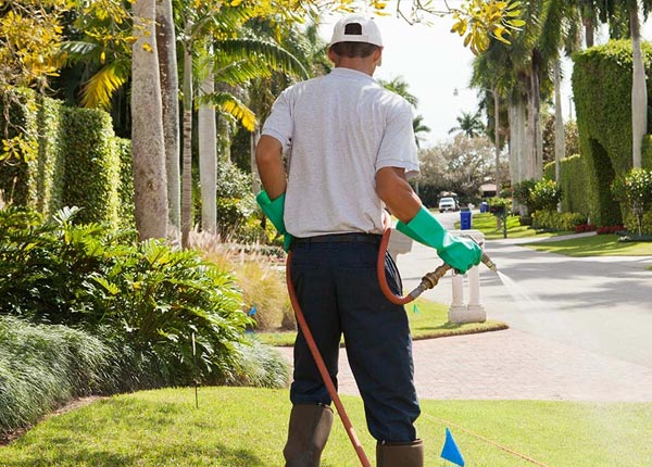 About Saint Stephen SC Pest Control Pros